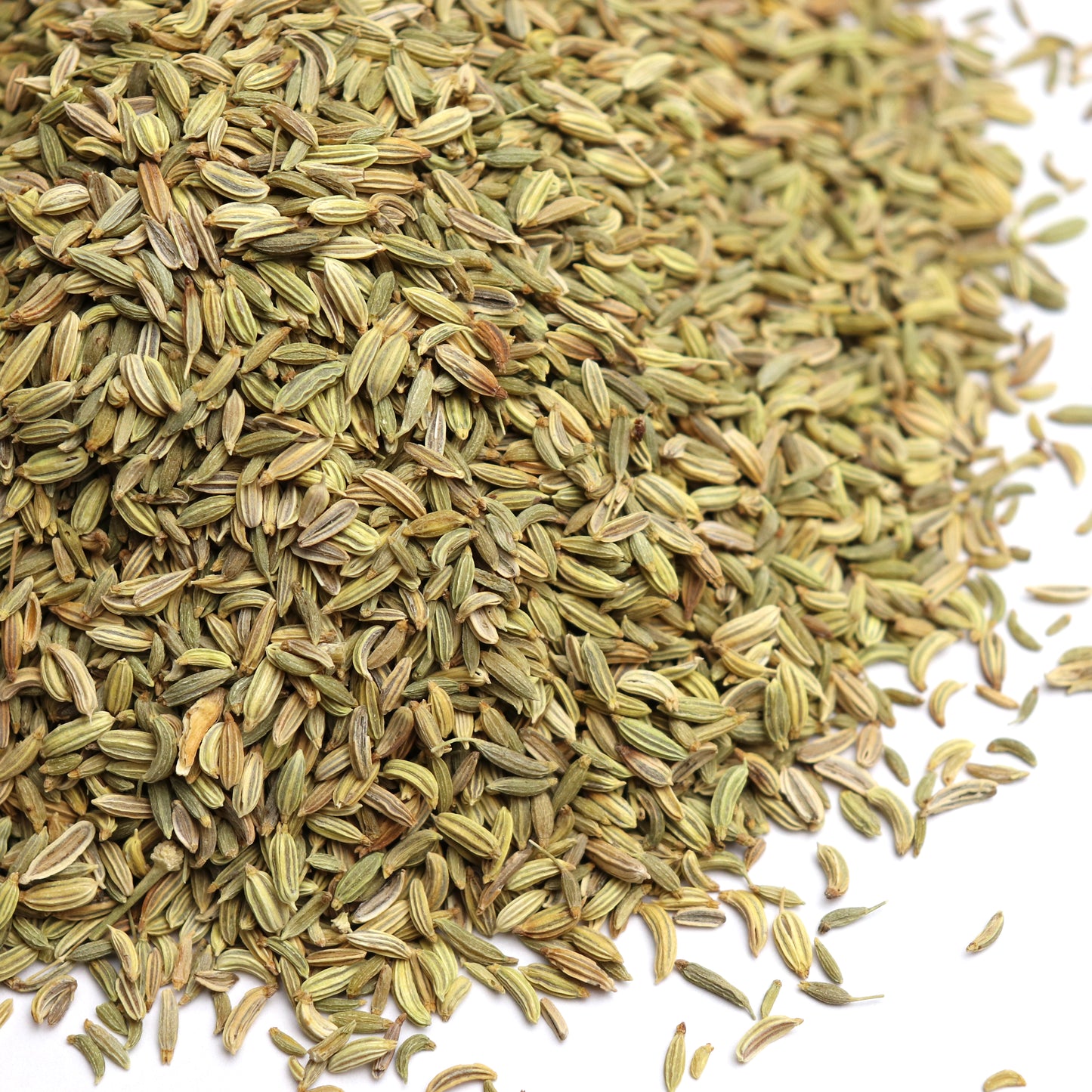 Fennel Seed