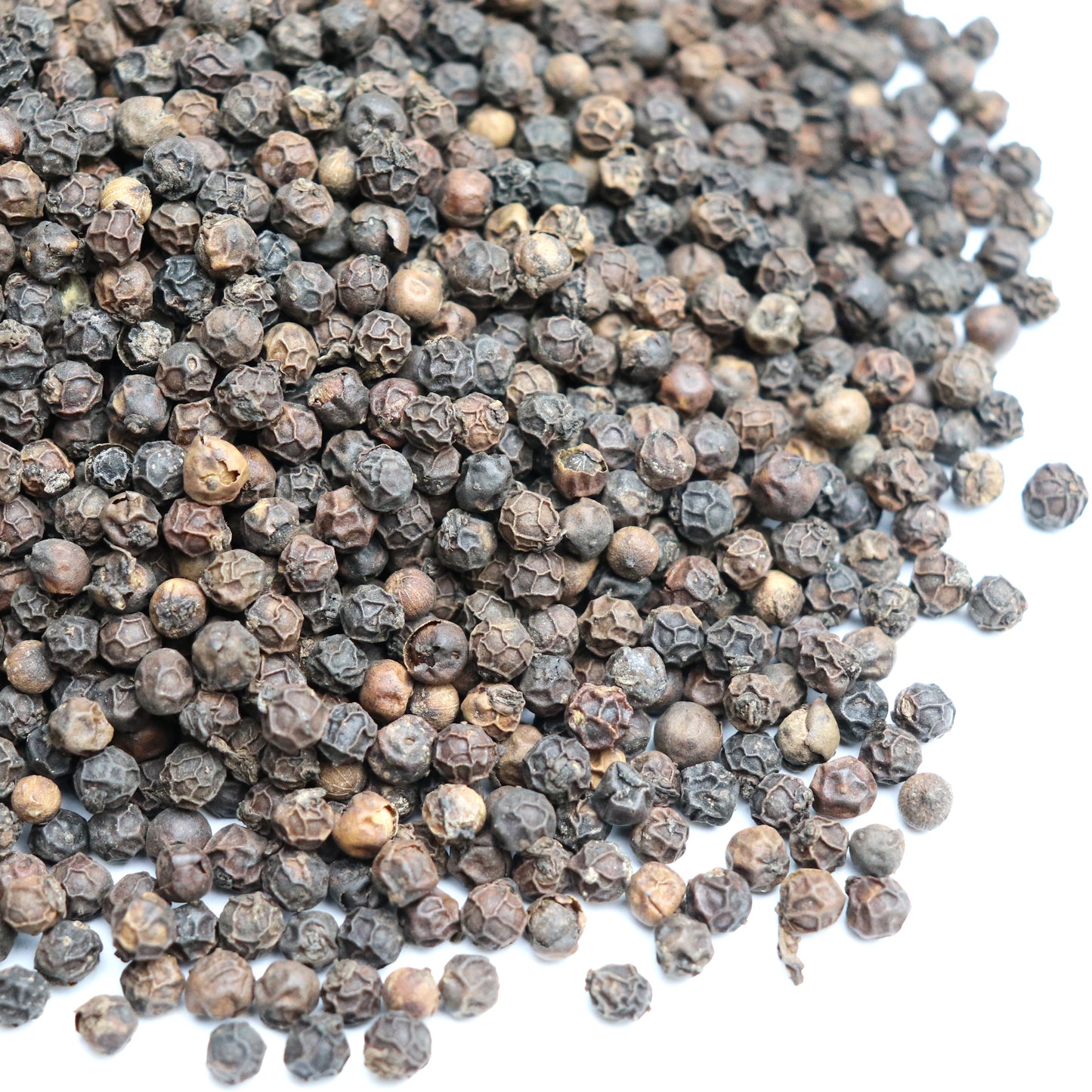 Tellicherry Peppercorns